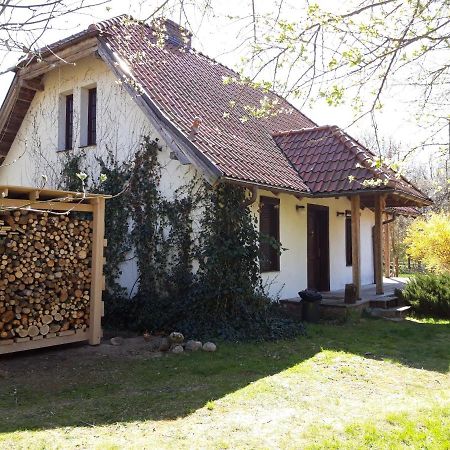 Willa Dom koło Rewala Paprotno Zewnętrze zdjęcie